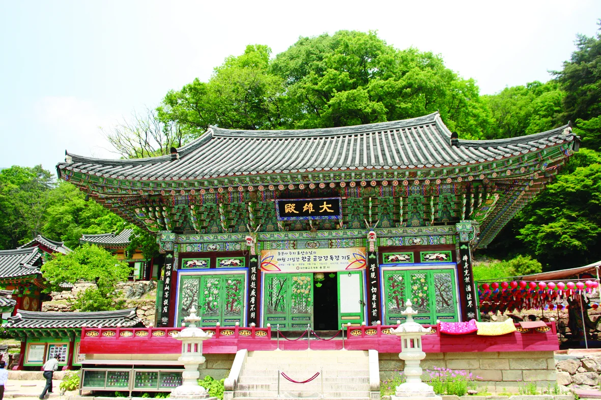 용문사 실제 장소 사진